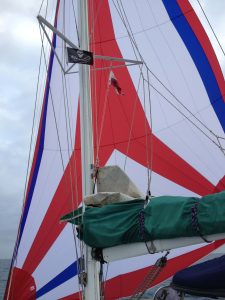 tri-color asymmetrical spinnaker