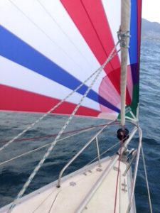 tri-color asymmetrical spinnaker