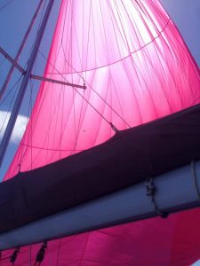 pink asymmetrical spinnaker on Jeanneau Sun Odyssey 36i