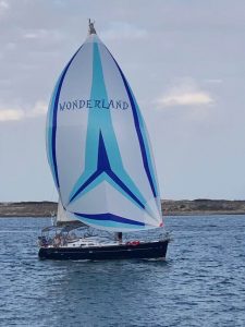 Beneteau Oceanis 473 with asymmetrical custom color white and blue spinnaker and logo in Australia