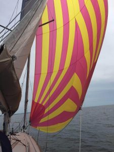 Jeanneau Sun Odyssey 349 custom colors yellow and pink spinnaker