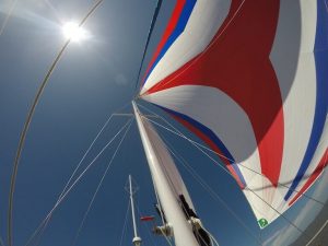 tri color asymmetrical spinnaker