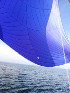 Hanse 315 blue symmetrical spinnaker