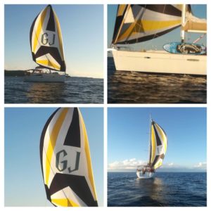 Beneteau oceanis 46 asymmetrical spinnaker with custom colors and Harry Potter style logo