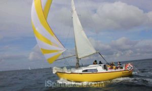 Arpege with symmetrical spinnaker yellow and white