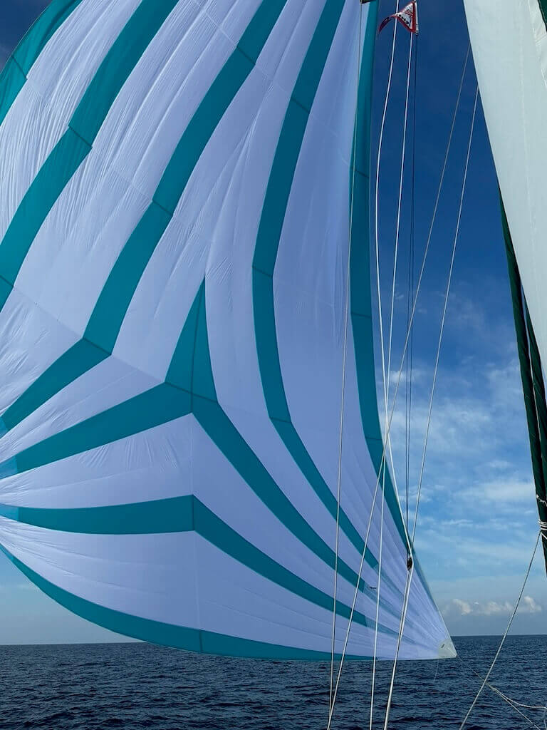 Island Packet 40 Asymmetric spinnaker