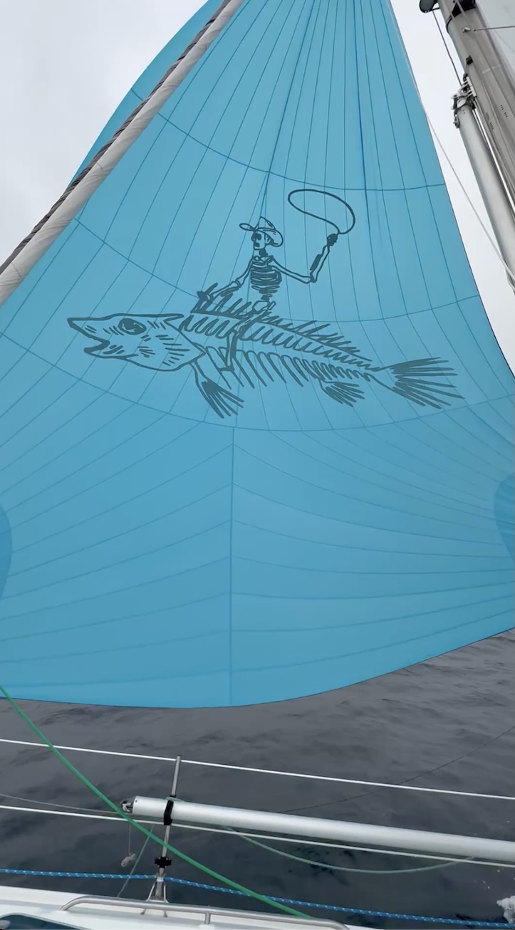 Graphic on Hunter 410 asym spinnaker