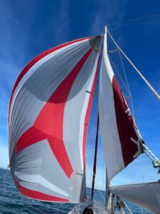 Beneteau Oceanis 390 asym spinnaker
