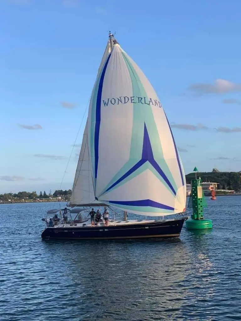 Beneteau Oceanis 473 with asymmetrical spi custom colors and logo Wonderland